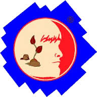 Odyssey of the Mind Application